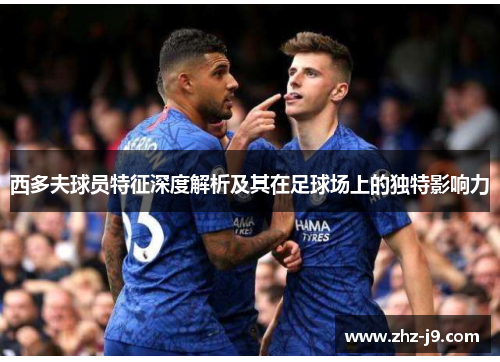 西多夫球员特征深度解析及其在足球场上的独特影响力 西多夫球员特征深度解析及其在足球场上的独特影响力